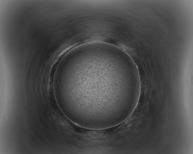X0000085800338200703231335