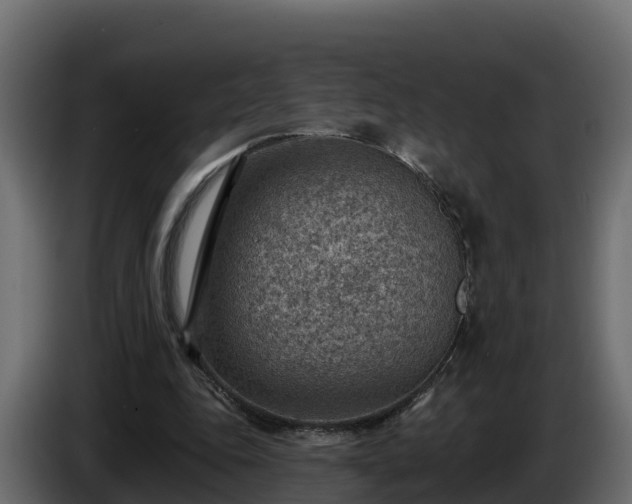 X0000085800343200703231335