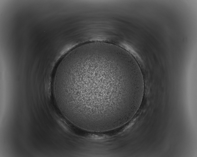 X0000085800346200703231335