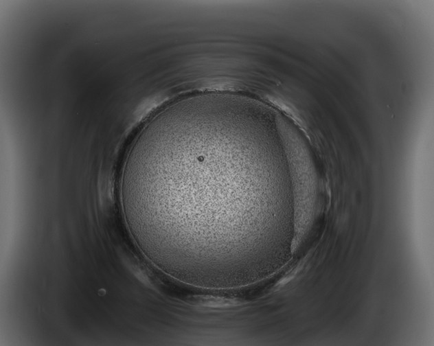 X0000085800347200703231335
