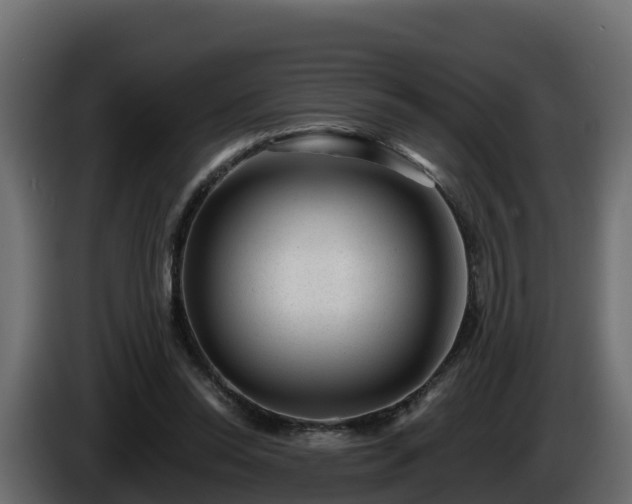 X0000085800350200703231335
