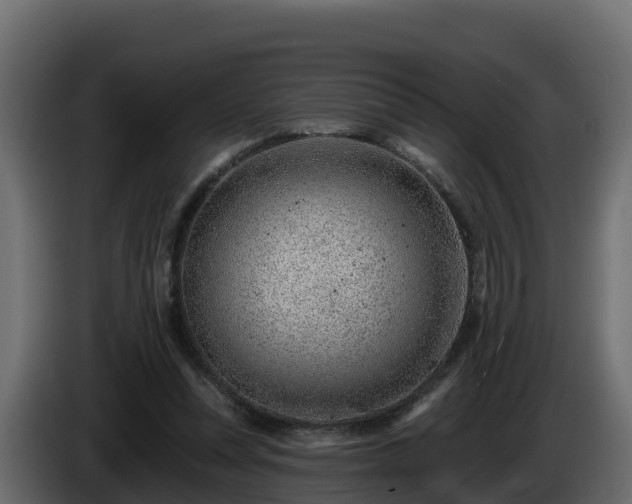 X0000085800351200703231335