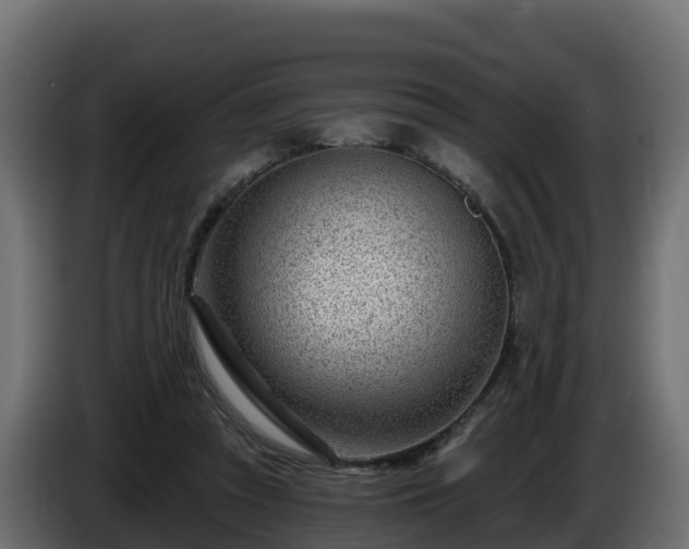 X0000085800353200703231335