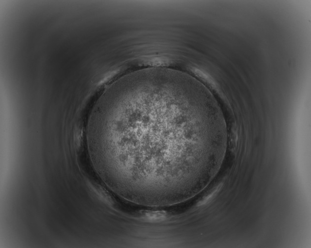 X0000085800355200703231335
