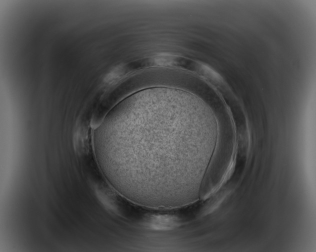 X0000085800360200703231335