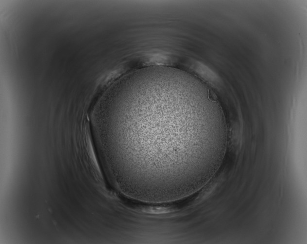 X0000085800361200703231335