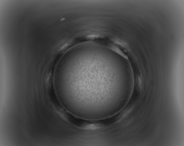 X0000085800364200703231335
