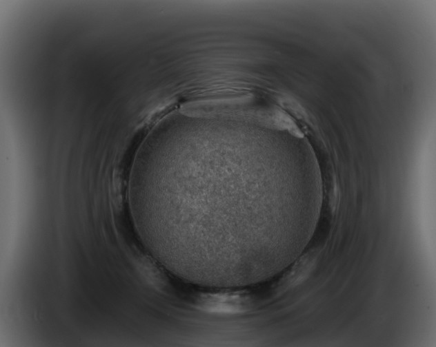 X0000085800366200703231335