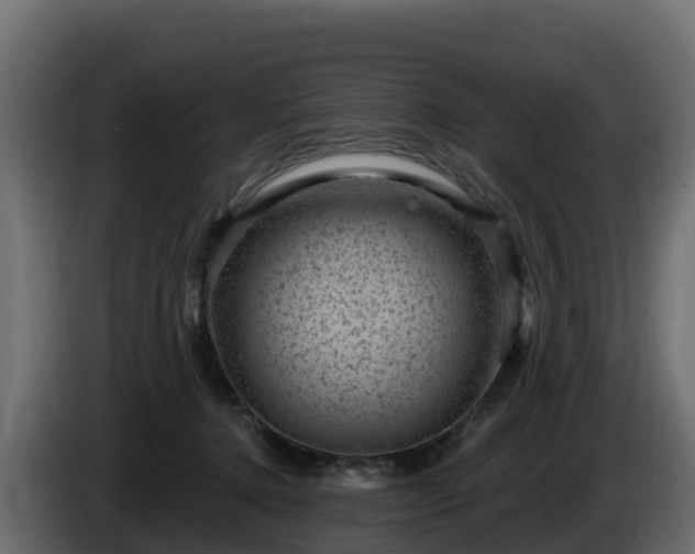 X0000085800368200703231335