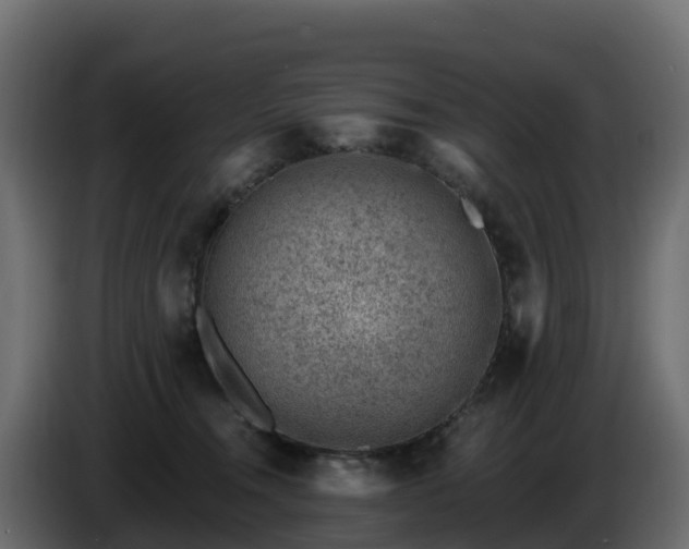 X0000085800372200703231335