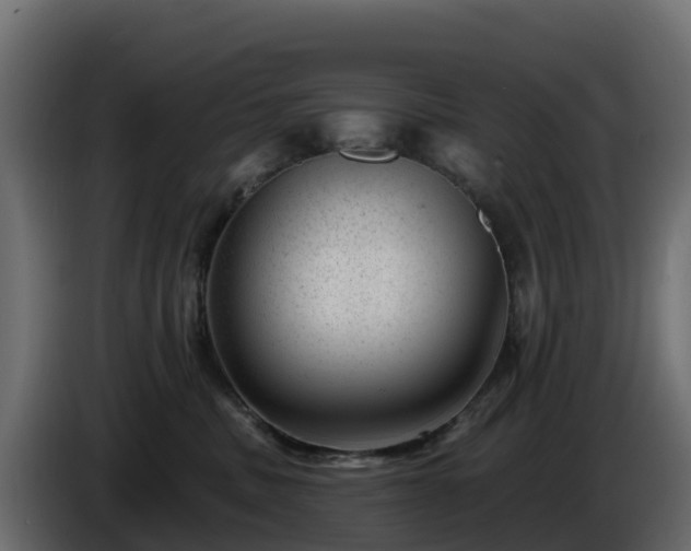 X0000085800379200703231335
