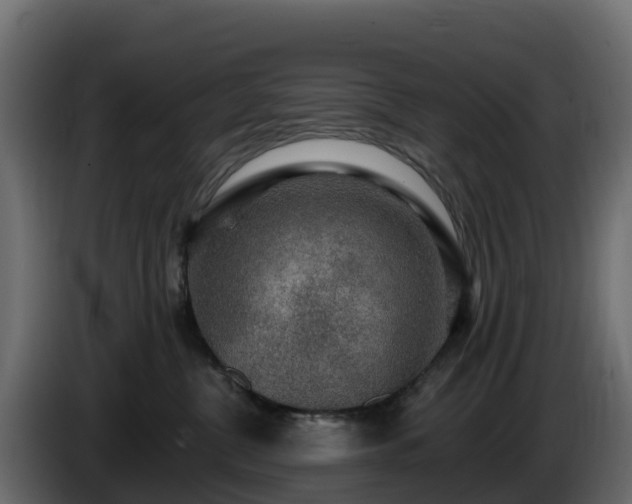 X0000085800380200703231335