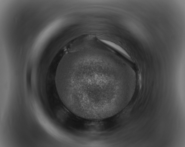 X0000085800383200703231336