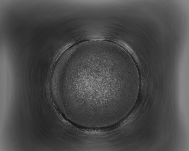 X0000085800385200703231335