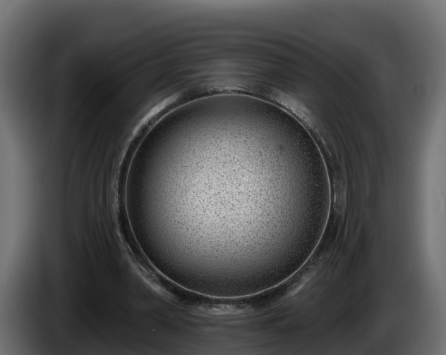 X0000085800390200703231335