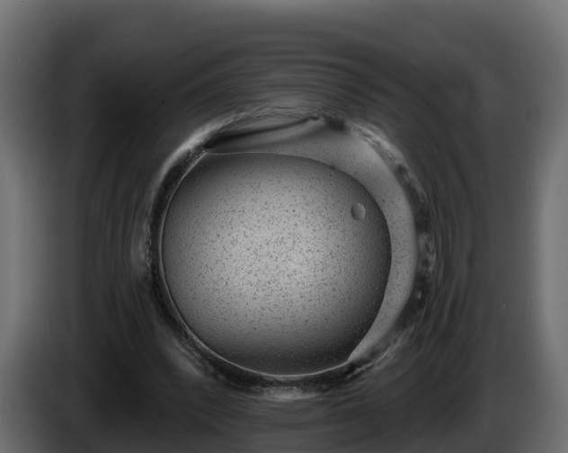 X0000085800392200703231335