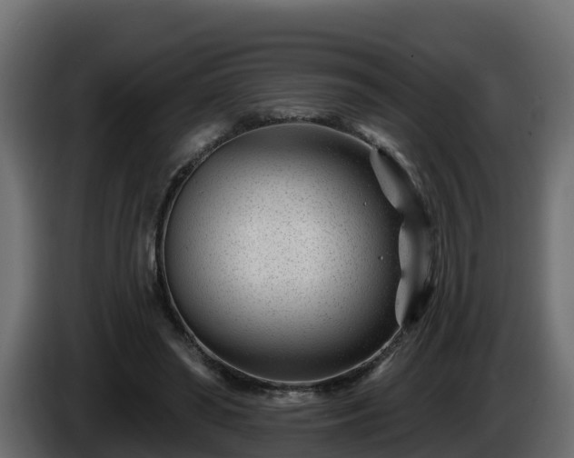 X0000085800398200703231335