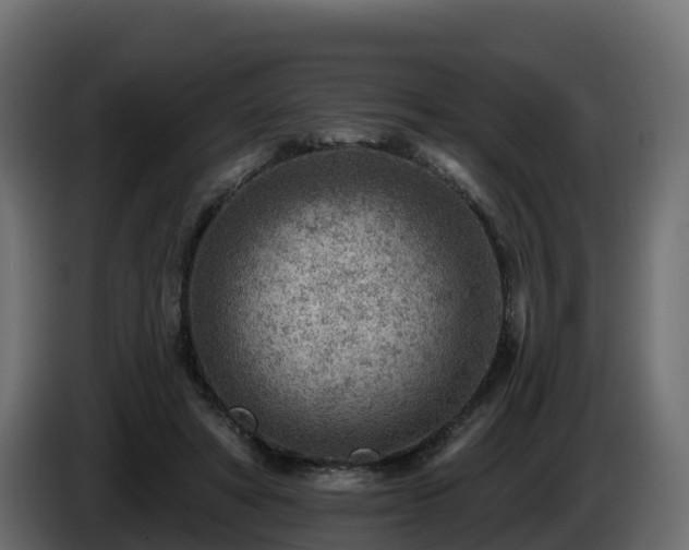 X0000085800402200703231335
