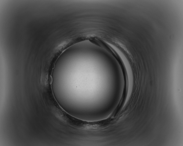 X0000085800403200703231335