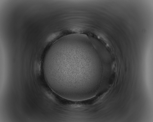 X0000085800404200703231335