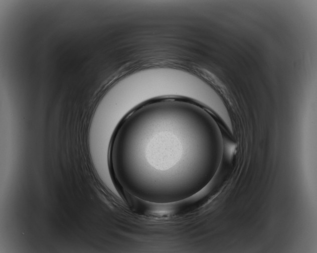 X0000085800405200703231335