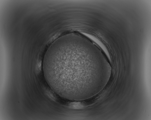 X0000085800406200703231335