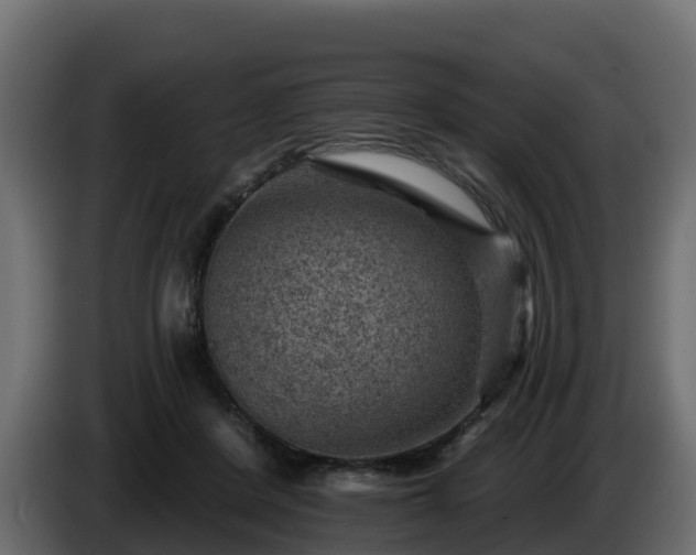 X0000085800408200703231335