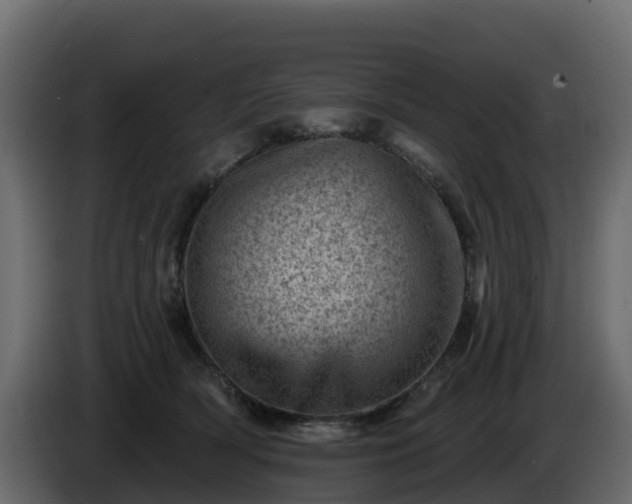 X0000085800418200703231334