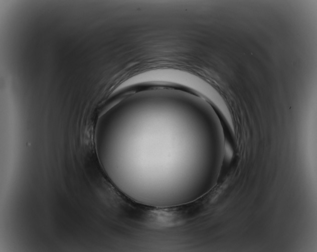 X0000085800425200703231334