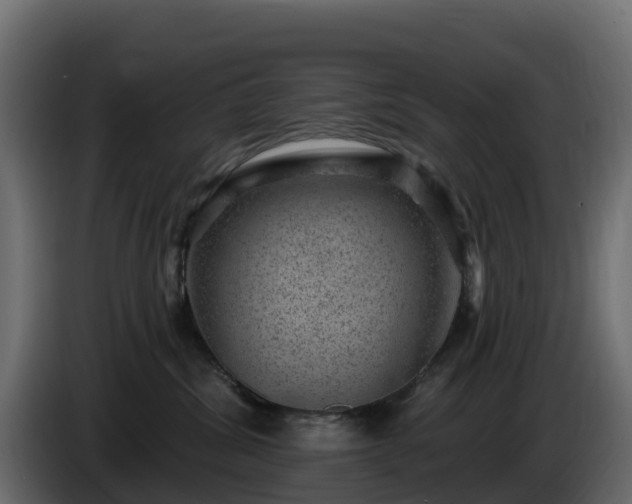 X0000085800428200703231334
