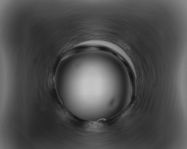 X0000085800429200703231334
