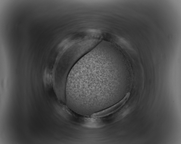 X0000085800432200703231334