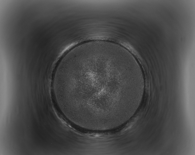 X0000085800434200703231333