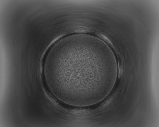 X0000085800435200703231333