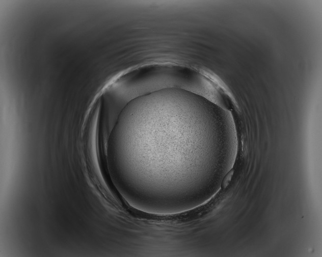 X0000085800436200703231334