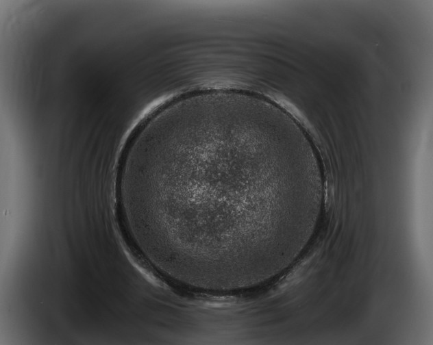 X0000085800438200703231334