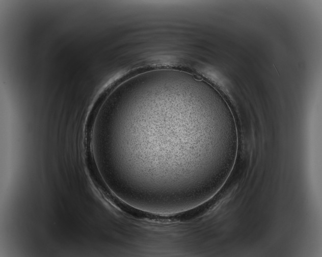 X0000085800439200703231334