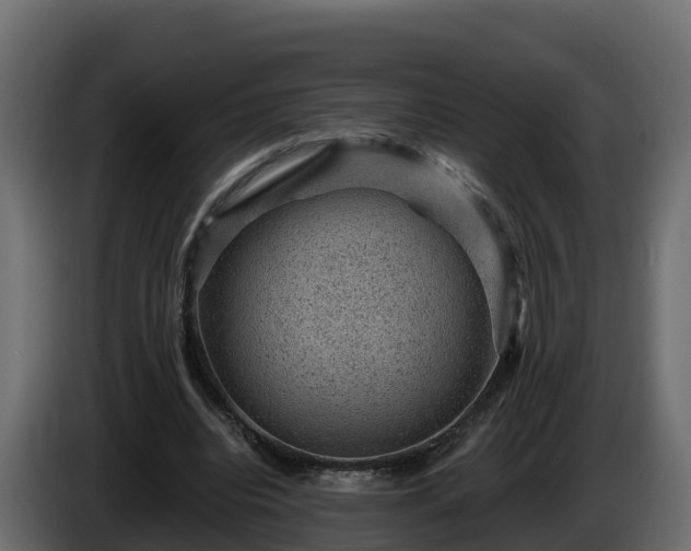 X0000085800440200703231334