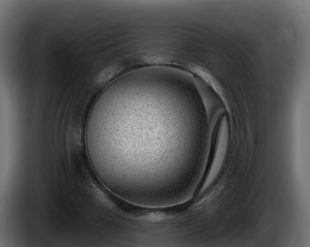 X0000085800441200703231334
