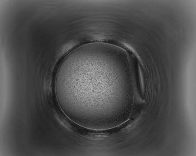 X0000085800443200703231334