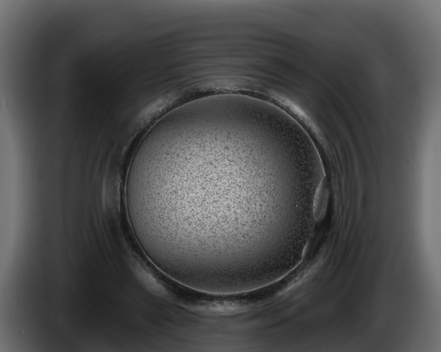 X0000085800445200703231334