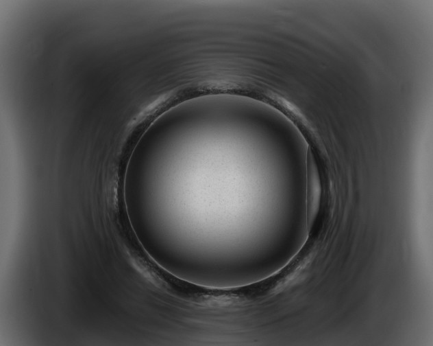 X0000085800446200703231334