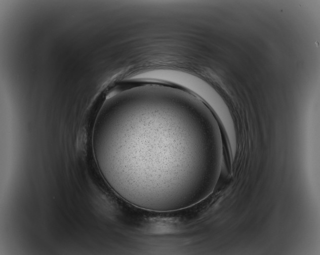 X0000085800448200703231334