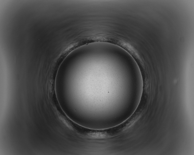 X0000085800449200703231334