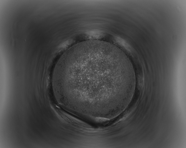 X0000085800451200703231334