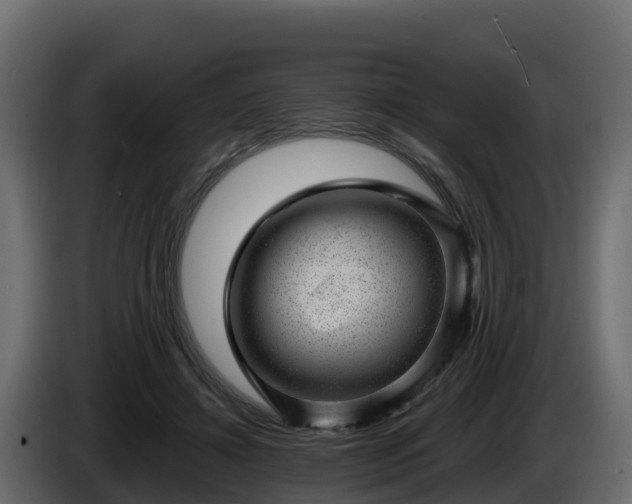 X0000085800452200703231334