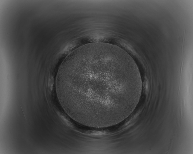 X0000085800458200703231334