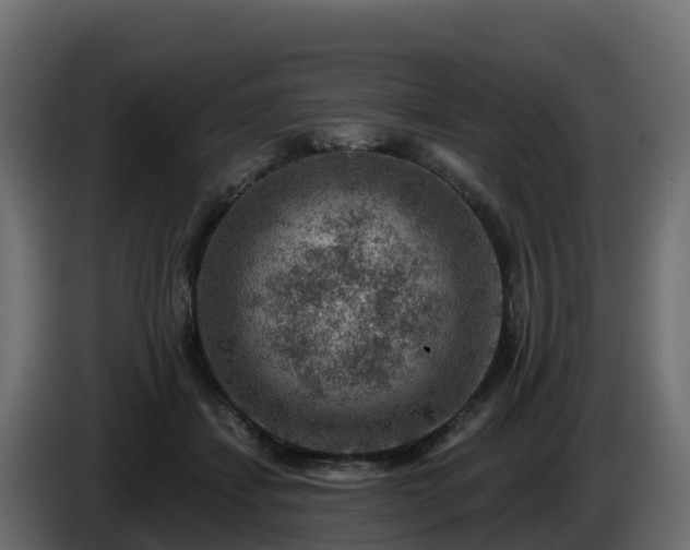 X0000085800459200703231334