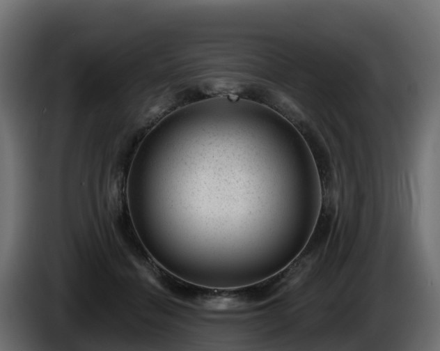 X0000085800460200703231334