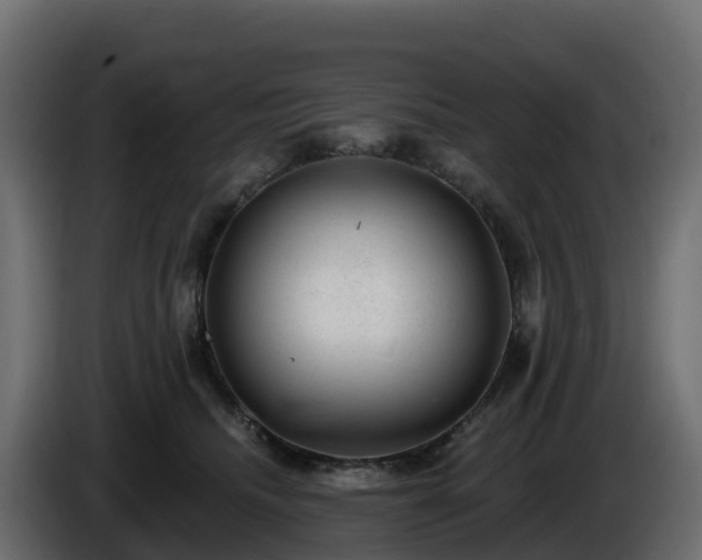 X0000085800468200703231334